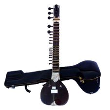 Divya Vadya Finest Musical Instrument
