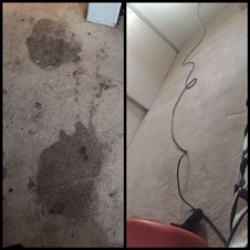 Los Angels Carpet Cleaning Experts