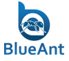 Blue Ant