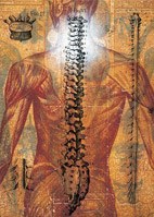 Dallas Chiropractic Clinic