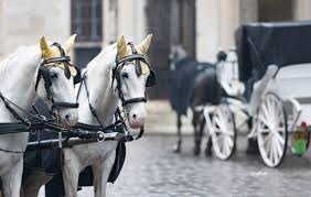 Four Winds Carriage Company
