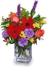 B-Hive Flowers & Gifts