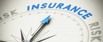 Nalin M Ved Insurance Agent