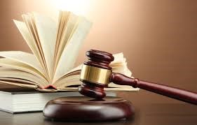 Attorney Nava Shahi