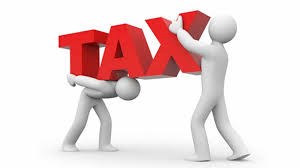 Lakeview Accounting Professionals, Inc