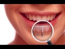 Sugar Creek Smile Dentistry - Doctors in Sugar Land, TX in Sugar Land, Sugar Land