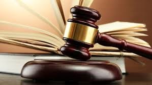 Sathya S Gosselin Legal Advisor