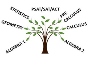 Priyanka's Academy For Maths And Statistics