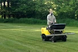 Jimmy Lawn Maintenance Services