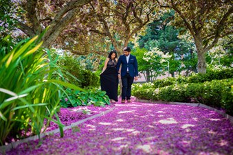 Red Mango Photography