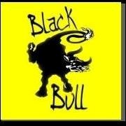 Black Bull Fireworks