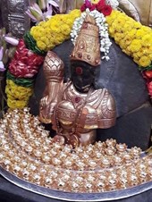 Best Psychic Healer & Indian Astrologer