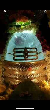 Best Psychic Healer & Indian Astrologer