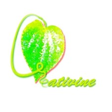 Creativine Arts