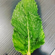 Sai Prasad Indian Restaurant