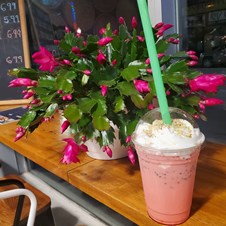 Sai Prasad Indian Restaurant