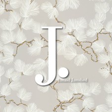 Junaid Jamshed Atlanta