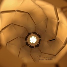 SpotShot Photography