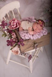 3 Chicks Photography