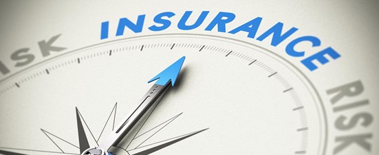 Amit Robert Insurance Advisor
