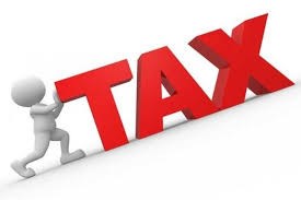 Professional Tax & Accounting Services INC