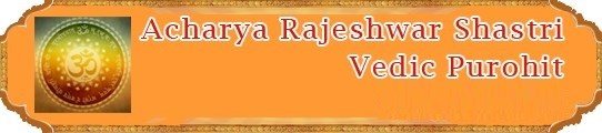Acharya Rajeshwar Shastri Hindu Vedic Priest