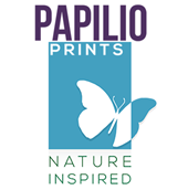 Papilio Prints