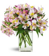 Elliott's Florist