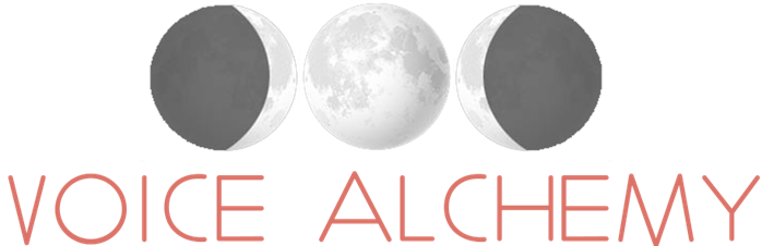 Voice Alchemy