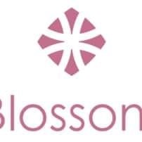 Blossom Brow Art