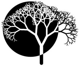 Fractal Science And Math Academy