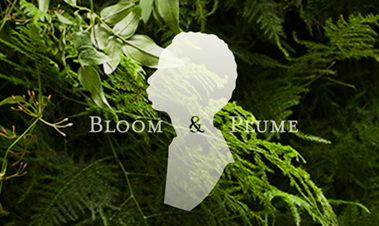 Bloom & Plume Florist