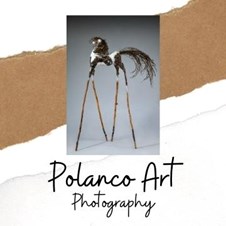 Polanco Art Photography