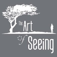 Art Of Seeing Photography Adventures