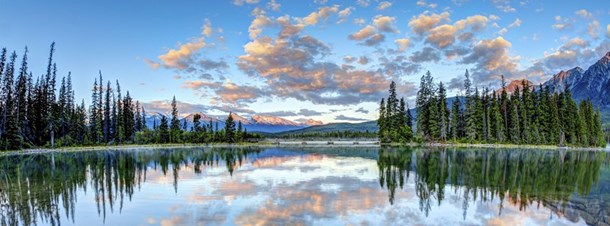 Piyush Patel CityMortgage - Loan Services in Saint Charles, IL in Saint Charles, Saint Charles