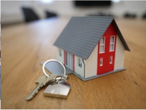 Nineitha Vasu Loan Advisor