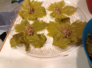 MAJA Catering