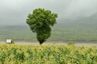 Mohit Shukla Photography