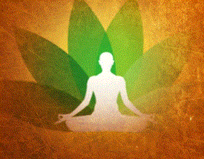 Ayurva Wellness