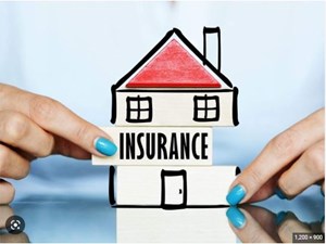 Dheeraj Dusheen Raj Insurance Agent