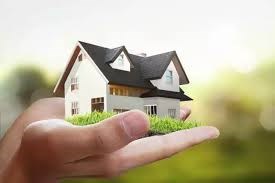 Chandni Patel Loan Advisor