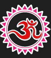 Astrologer Pandit Gagan Ji
