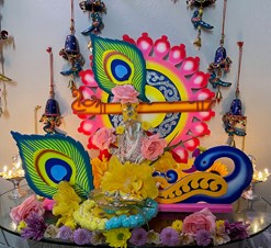 Piyu's Home Decor Services