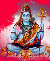 Astrologer Balaji