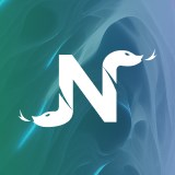 Nyoka Web-App Services
