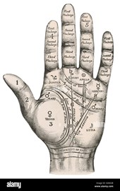Shivalk Master Astrologer