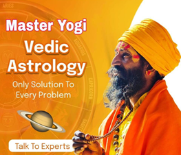 Master Yogi Vedic Astrology