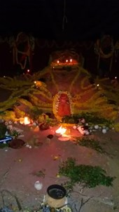 FAMOUS Indian Astrologer In New York New Jersey