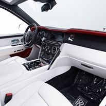 Leozen Exotic Rentals - Local Transportation in Houston, TX in Houston, Houston