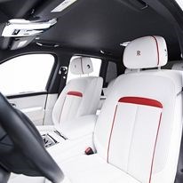 Leozen Exotic Rentals - Local Transportation in Houston, TX in Houston, Houston